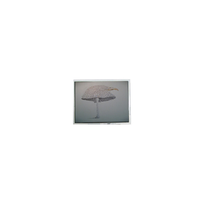 Buon prezzo 9.4 pollici DMF-51043NFU-FW 640*480 schermo LCD Pannello in linea