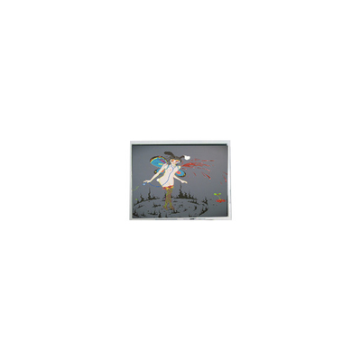 Buon prezzo Display LCD WLED originale da 5,2 pollici 240*64 F-51405GNB-LW-ANN in linea