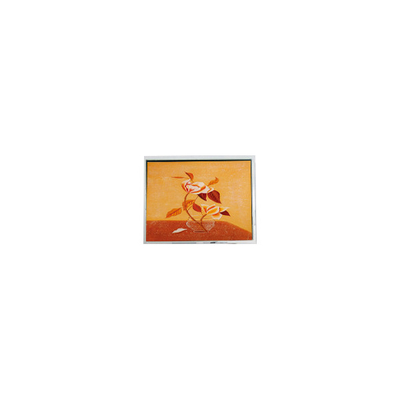 Buon prezzo T-55225D104J-FW-A-AAN 10,4 pollici 1024*768 modulo schermo LCD in linea