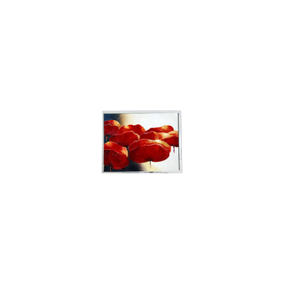 Buon prezzo T-55534D150J-LW-A-ABN 15,0 pollici 1024*768 schermo LCD industriale in linea