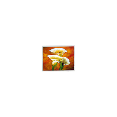 Buon prezzo T-55694D106J-LW-A-AAN 10,6 pollici 1280*768 1000 cd/m2 schermo LCD in linea