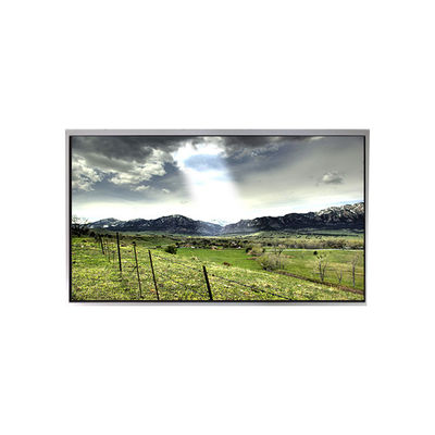 Buon prezzo P1010WXF1MA01 schermo LCD da 10,1 pollici per esterni ad alta luminosità in linea