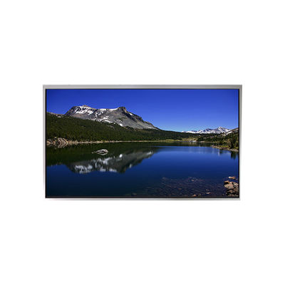 Buon prezzo NUOVO 10,1 pollici P1010WXF1MB10 500 cd/m2 schermo LCD per TIANMA in linea