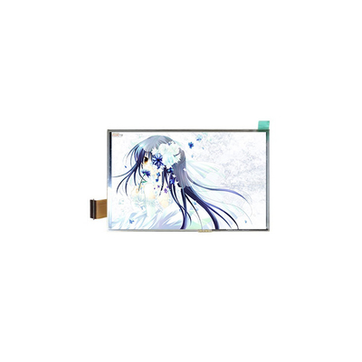 Buon prezzo 800*480 TM050RBH01-41 SCREEN LCD per la navigazione portatile in linea
