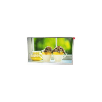 Buon prezzo TM090RDSG06 9,0 pollici 800*480 WLED schermo LCD in linea