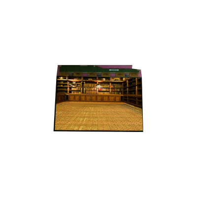 Buon prezzo Display LCD LVDS da 20,1 pollici in linea