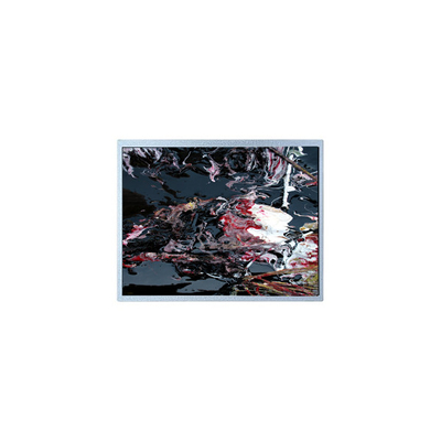 Buon prezzo P1210WXF1MA01 12.1 pollici LVDS TFT LCD Panel Module in linea