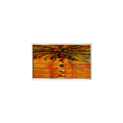 Buon prezzo HM150X01-N01-1QP1 15.0 pollici 1024*768 pannello LCD per segnaletica digitale in linea