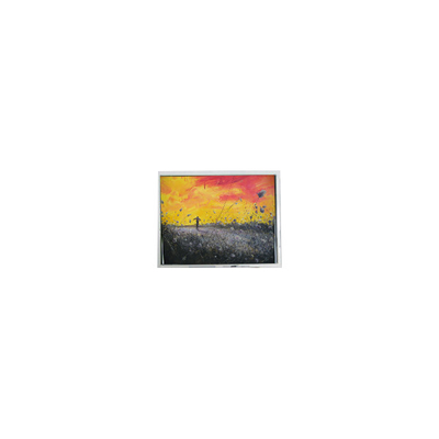 Buon prezzo CLAA070LC0FCT 800*480 7.0 pollici LCD touch module display in linea