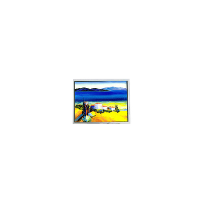 Buon prezzo HSD050JDW2-C10-0220 800*480 5,0 pollici schermo LCD in linea