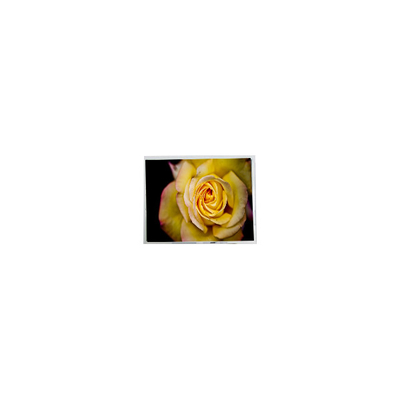 Buon prezzo nuovo pannello LCD da 9,7 pollici HSD097HXN2-A00 1024*682 in linea