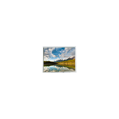 Buon prezzo Vendita a caldo Display LCD da 10,0 pollici 1200*1600 HSD100GBN1-029901-PX in linea