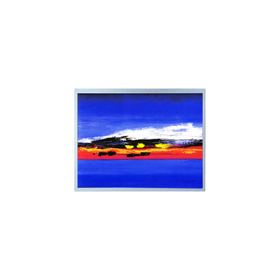 Buon prezzo 1920*720 12,3 pollici HSD123JPW2-F10 Modulo schermo LCD in linea