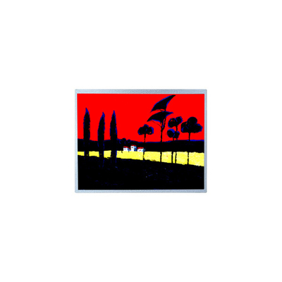 Buon prezzo Hot sell 1920*720 HSD123JPW3-D10 Display LCD da 12,3 pollici in linea