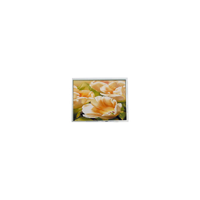 Buon prezzo ES13BB0FLW 128*64 2,9 pollici LCD Monitor LCD Modulo per strumenti in linea