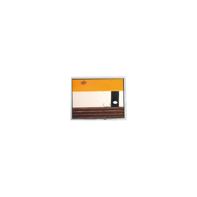 Buon prezzo ET0430A6DM6 480*272 4,3 pollici schermo LCD per la navigazione portatile in linea