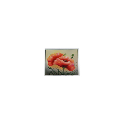 Buon prezzo nuovo modulo di schermo LCD PCAP da 7,0 pollici ETM070001BDHA 800*480 in linea