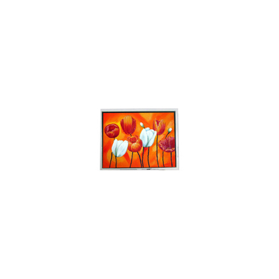 Buon prezzo EW50397BCW 4,7 pollici piccolo 320*240 75Hz LCD pannello schermo LCD in linea