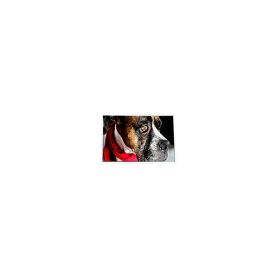 Buon prezzo COM35H3P58ULC schermo LCD da 3,5 pollici 320*240 60Hz in linea