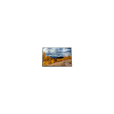 Buon prezzo COM (97) 373 finalUTC 3,7 pollici 480*640 schermo LCD in linea