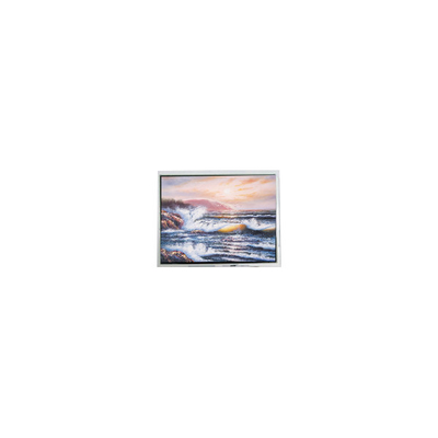 Buon prezzo 640*480 5,7 pollici COM57H5M24KSC Modulo di schermo LCD in linea