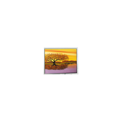 Buon prezzo 640*480 COM57H5M84XRC 5,7 pollici schermo LCD a 60Hz in linea