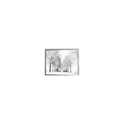 Buon prezzo VENDITA A CALDO schermo LCD 128*64 2,4 pollici G1216B1N000 PER METRI in linea