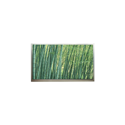Buon prezzo 1024*768 10,4 pollici M104GNX2 R1 schermo LCD in linea
