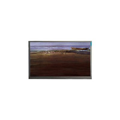 Buon prezzo in stock 1024*600 10,1 pollici P101GWT9 R4 schermo LCD TFT pannello in linea