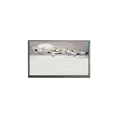 Buon prezzo P101GWWF R2 Display LCD da 10,1 pollici 1280*800 in linea