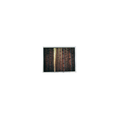 Buon prezzo schermo LCD da 4,3 pollici in linea