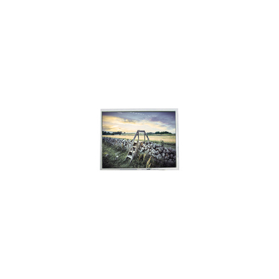 Buon prezzo 5.6 pollici FG050600ANCWAG02 320 * 234 schermo LCD per lettore DVD portatile in linea