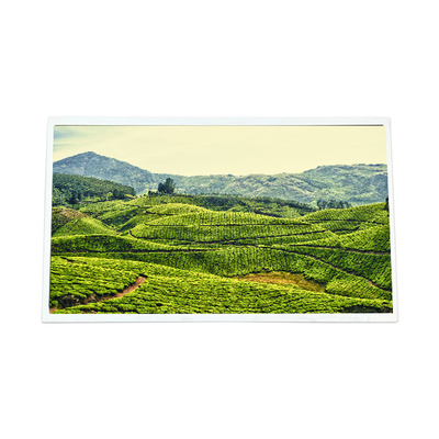 Buon prezzo schermo LCD originale da 12,3 pollici QV123FHM-N15 per automobili in linea