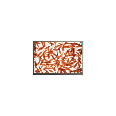 Buon prezzo M090AWA6 R1 1280*720 9,0 pollici schermo LCD per alta luminosità esterna in linea