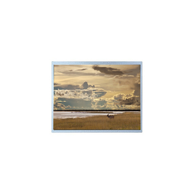 Buon prezzo P430HVN06.1 1920*1080 schermo LCD LVDS in linea