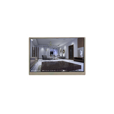 Buon prezzo Nuovo schermo LCD da 10,1 pollici 800*1280 PG101BS01-1 per Pad Tablet in linea