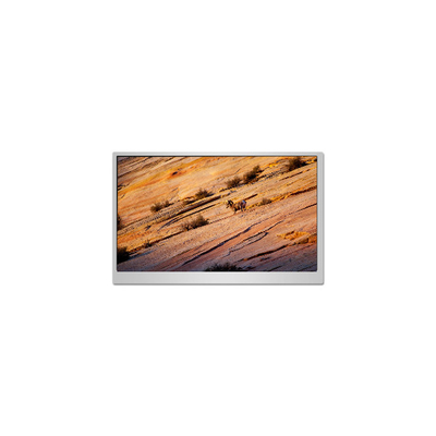 Buon prezzo PN195BN01-1 19,5 pollici schermo LCD per monitor desktop in linea