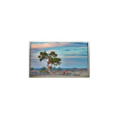 Buon prezzo SN245CT01-1 24,5 pollici 1920*1080 3500:1 schermo LCD in linea