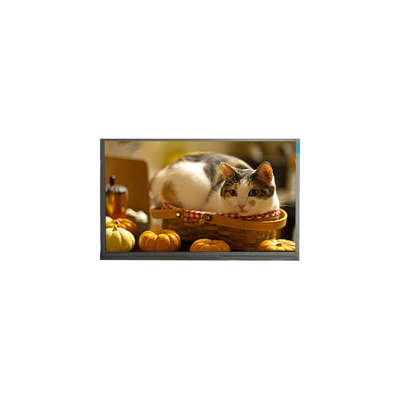 Buon prezzo N140BGE-P23 14,0 pollici 60Hz 262K schermo LCD in linea