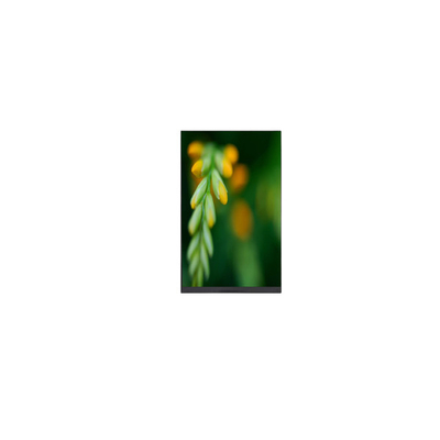 Buon prezzo P080DCE-3F0 800*1280 8,0 pollici schermo LCD con Pad Tablet in linea