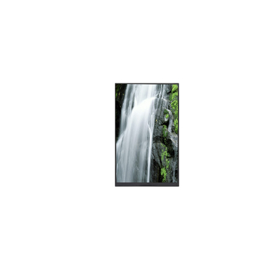 Buon prezzo Nuovo display LCD da 8,0 pollici P080KDZ-3Z1 1200 * 1920 in linea