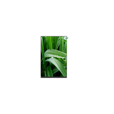 Buon prezzo P101DEA-AZ1 10,1 pollici 800*1280 500 cd/m2 schermo LCD in linea