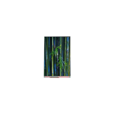 Buon prezzo 1080*1920 PJ055IC-02M schermo LCD WLED da 5,5 pollici in linea