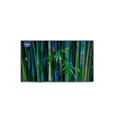 Buon prezzo B116XAT01.0 Modulo LCD da 11,6 pollici 1366*768 tft in linea