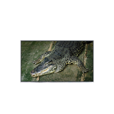 Buon prezzo B133EW01 V7 13.3 pollici 1280*800 LCD Display Panel per laptop in linea