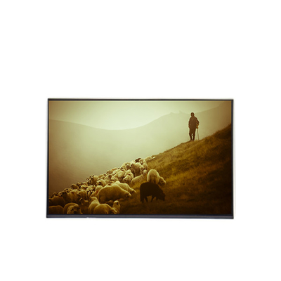 Buon prezzo B170WP04 V0 Pannello LCD da 17,0 pollici 1440*900 in linea