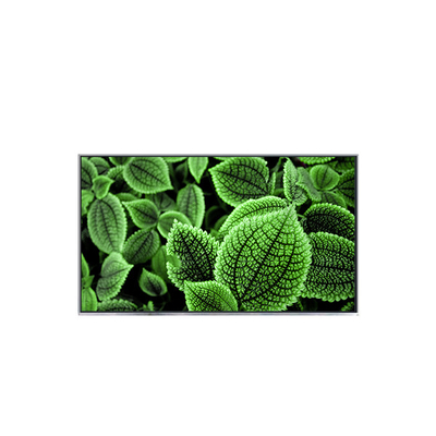 Buon prezzo C156HAA01.2 15,6 pollici 1080p Touch LCD Display in linea