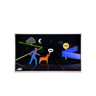 Buon prezzo M215HAN01.0 Display LCD da 21,5 pollici 1080p in linea