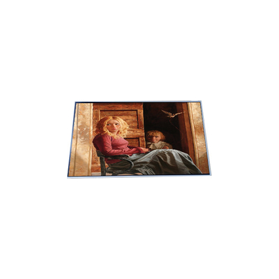 Buon prezzo N156HAN01.0 15,6 pollici 1920*1080 schermo LCD in linea