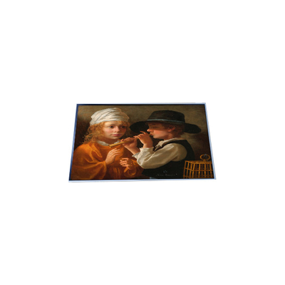 Buon prezzo P157RAN02.0 Display LCD TFT da 15,7 pollici 960*960 in linea